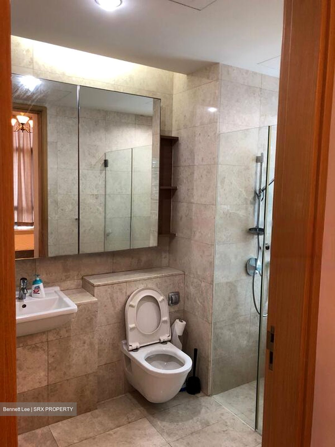 Soleil @ Sinaran (D11), Condominium #461121141